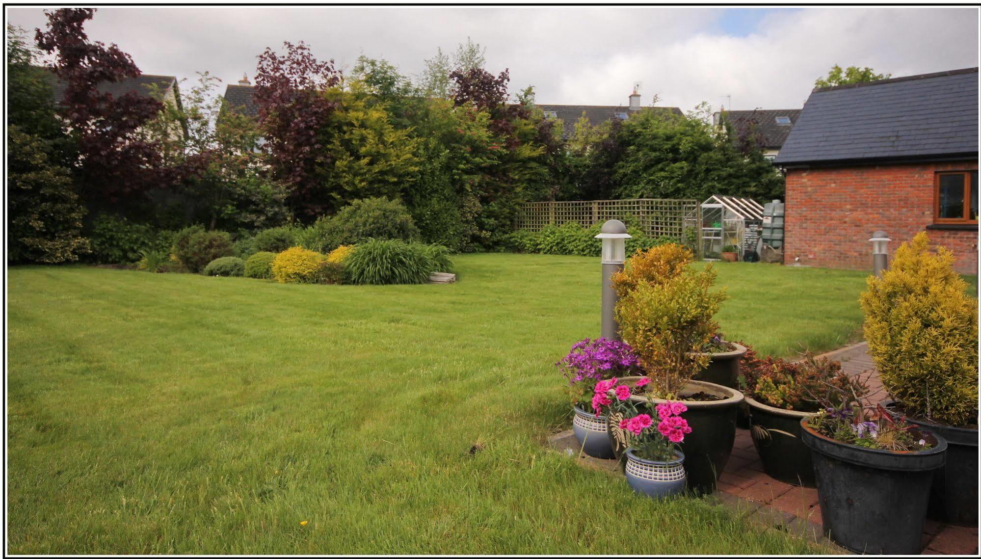 Oranhill Lodge Guesthouse Oranmore Εξωτερικό φωτογραφία
